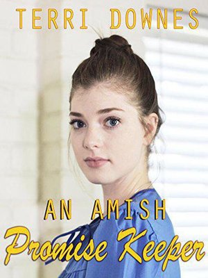 cover image of An Amish Promise Keeper